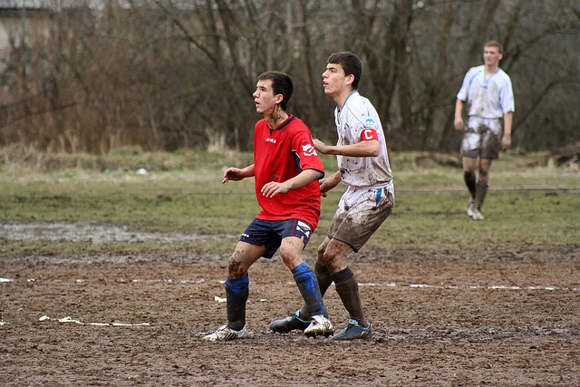 來全新的發 來全新的發