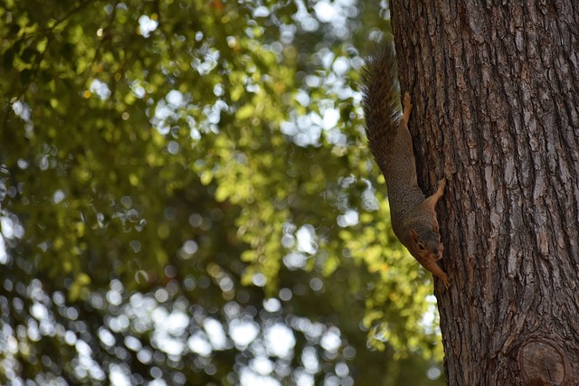 尤其值得一 尤其值得一