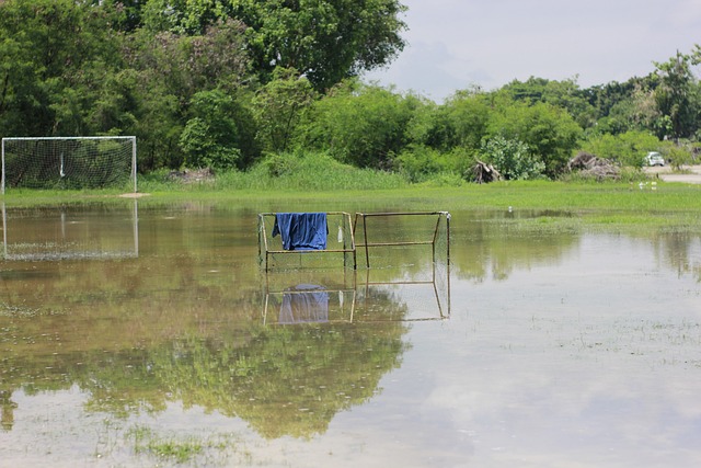 并无充分依 并无充分依