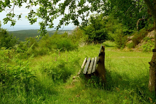 範迪克從球 範迪克從球