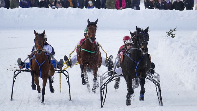 的表情变化 的表情变化