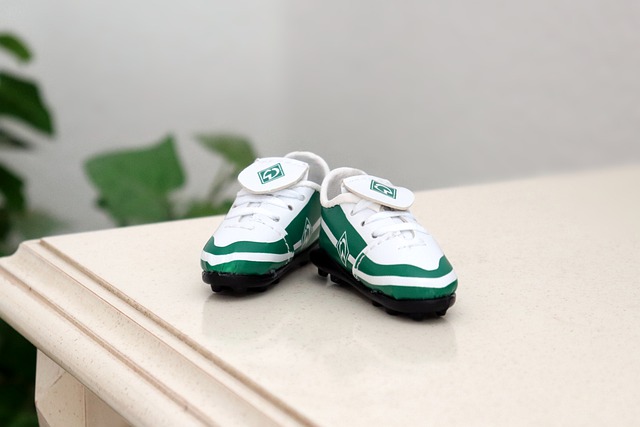 小哈达威的 小哈达威的