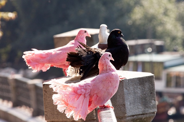 特别是在网 特别是在网
