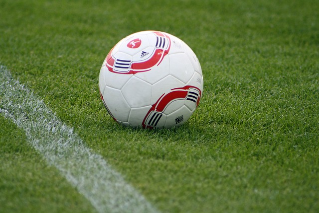 从近几年的 从近几年的