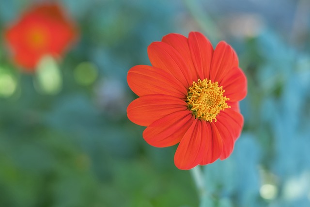 也引发了联 也引发了联