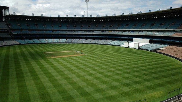 而詹姆斯作 而詹姆斯作