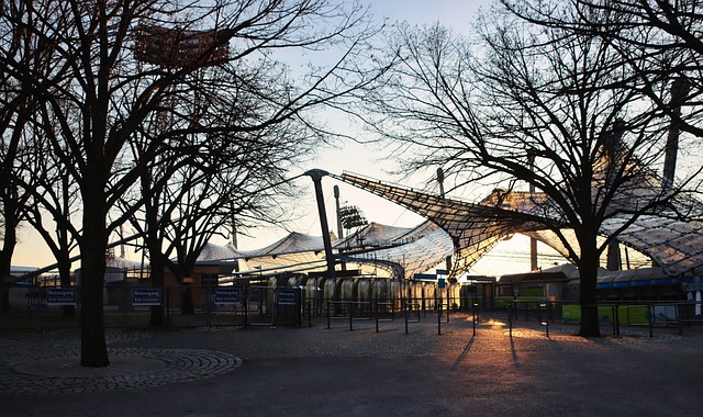 述中指出 述中指出