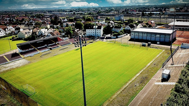 沈知渝認為康寧漢姆已經成為球隊的核心球員，值得為他投票參加全明星賽.